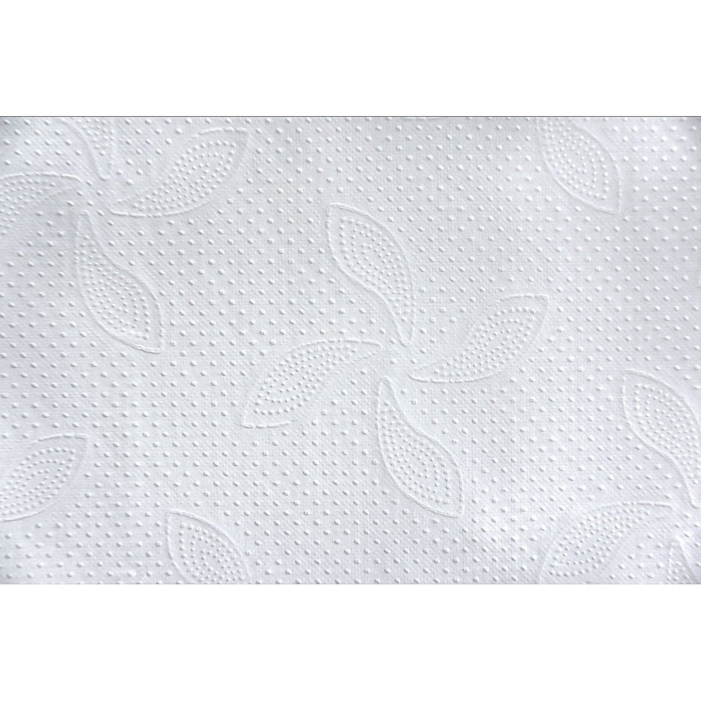 Katrin Classic 2-Ply W-fold Hand Towels, White, Pack of 4000 Easy2Order : KZ06161