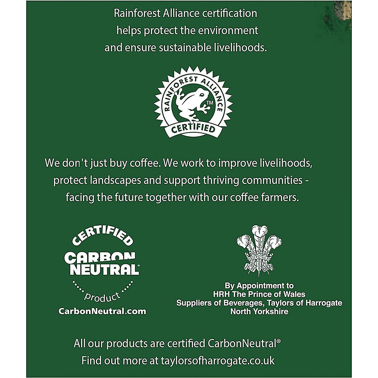 Taylors of Harrogate Rich Italian Coffee Bags, Pack of 10