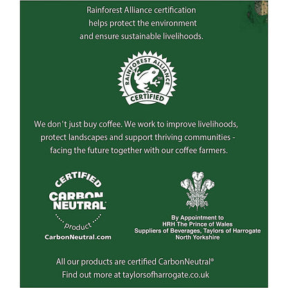 Taylors of Harrogate Rich Italian Coffee Bags, Pack of 10