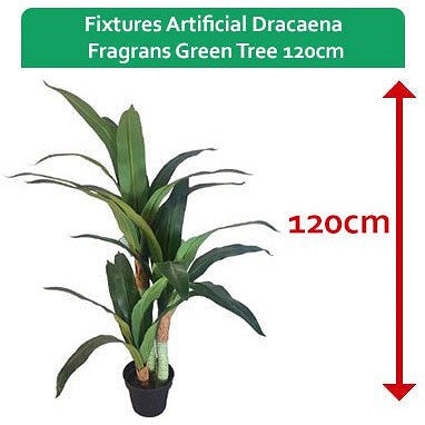 Fixtures Artificial Dracaena Fragrans Green Tree, 120cm