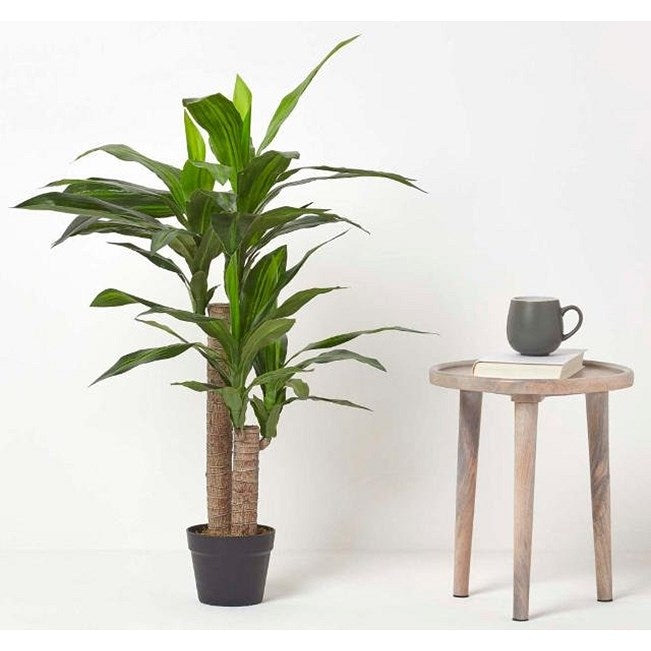 Fixtures Artificial Dracaena Fragrans Green Tree, 120cm Easy2Order : NWT6587