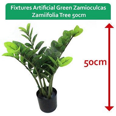 Fixtures Artificial Green Zamioculcas Zamiifolia Tree, 50cm Easy2Order : NWT6592