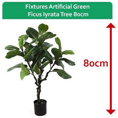 Fixtures Artificial Green Ficus Iyrata Tree, 80cm Easy2Order : NWT6599