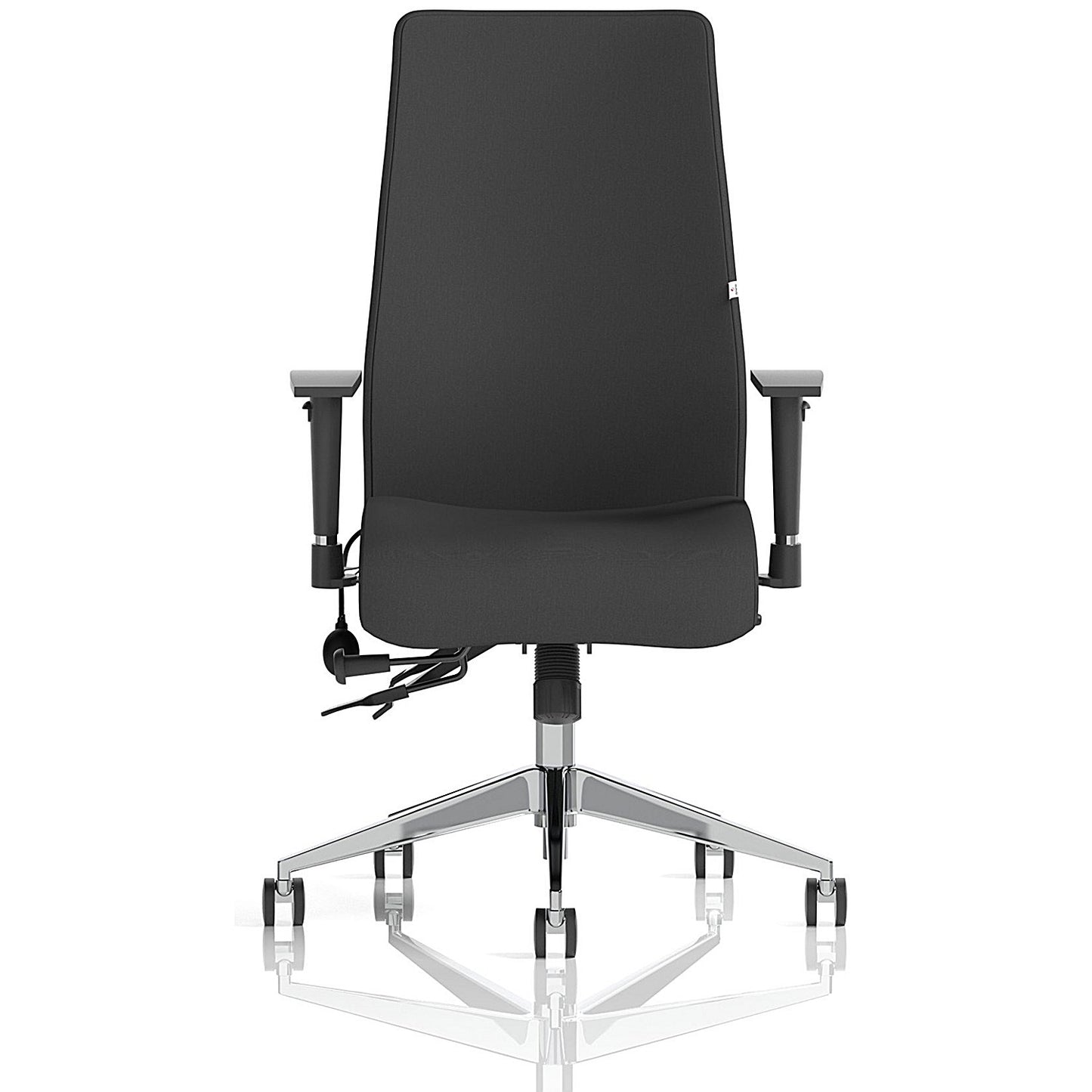 Onyx Ergo Posture Chair, Height Adjustable Arms, Black