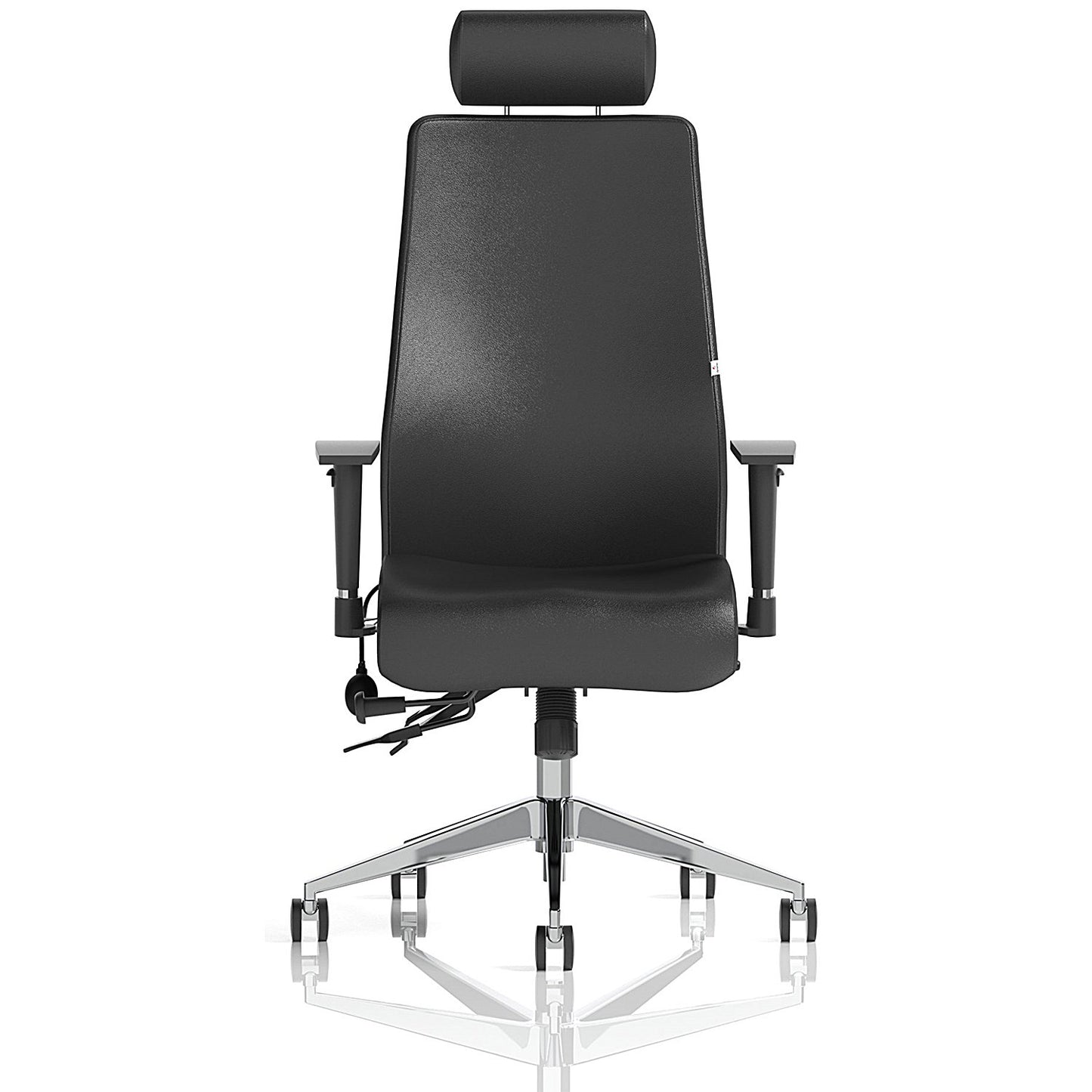 Onyx Ergo Posture Chair, Headrest, Height Adjustable Arms, Black