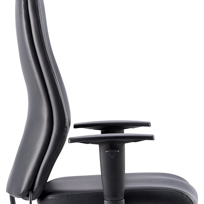 Onyx Ergo Posture Chair, Headrest, Height Adjustable Arms, Black