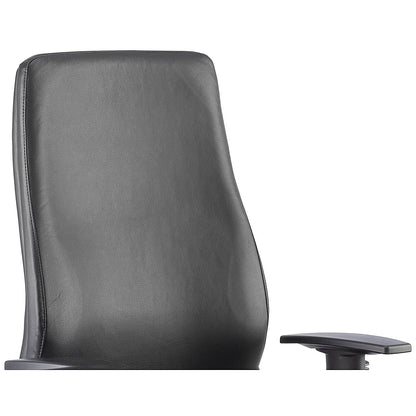 Onyx Ergo Posture Chair, Height Adjustable Arms, Black