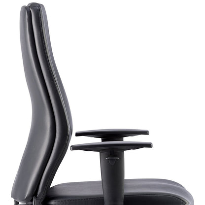 Onyx Ergo Posture Chair, Height Adjustable Arms, Black