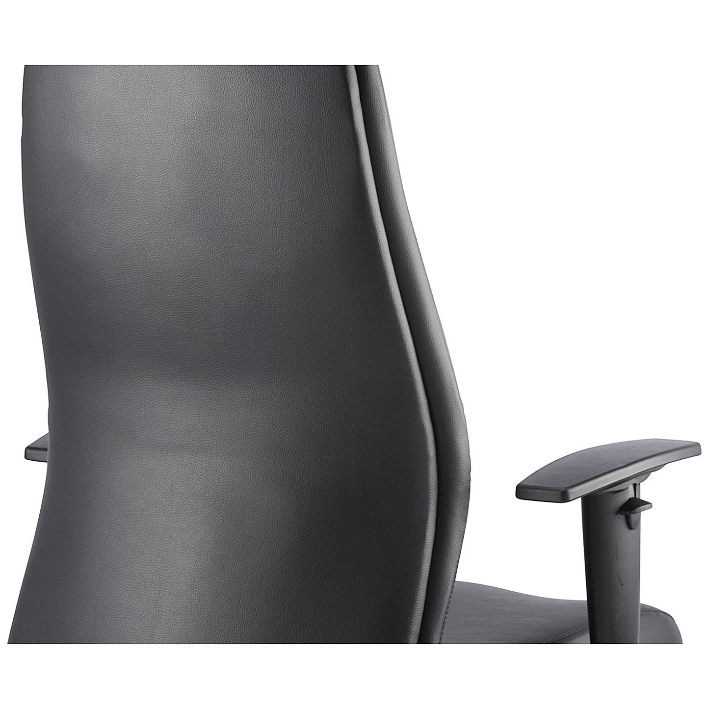 Onyx Ergo Posture Chair, Height Adjustable Arms, Black