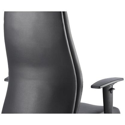 Onyx Ergo Posture Chair, Height Adjustable Arms, Black