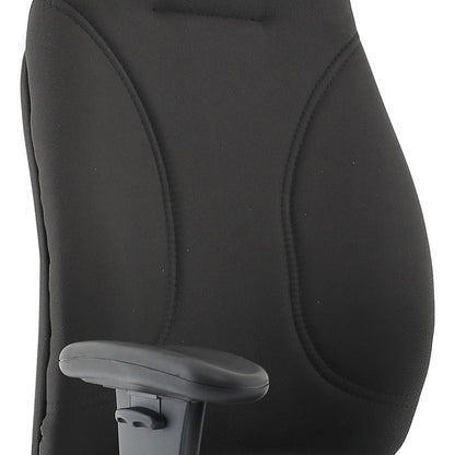 Esme Posture High Back Chair, Height Adjustable Arms, Black
