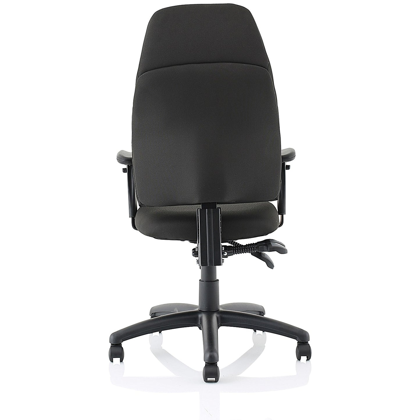 Esme Posture High Back Chair, Height Adjustable Arms, Black