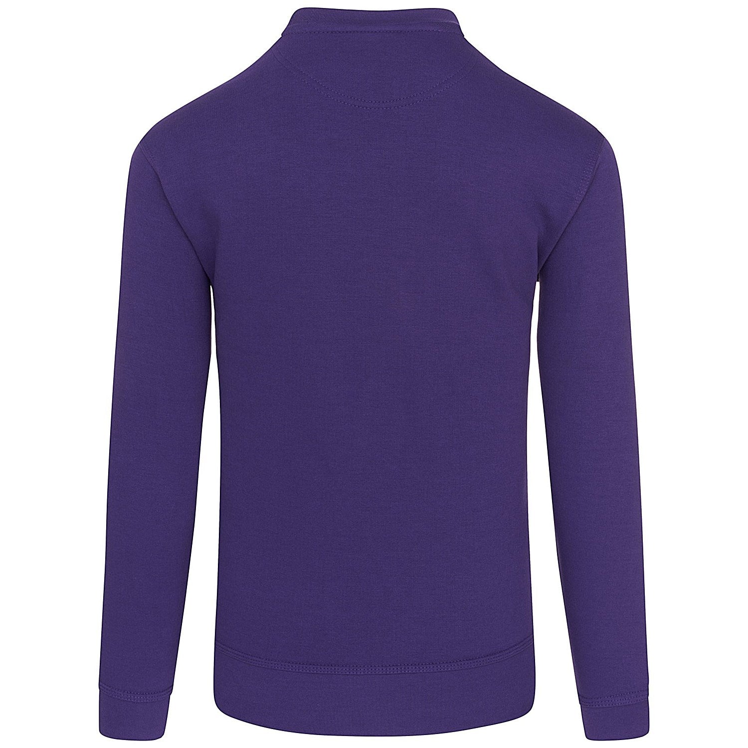 ORN Kite Sweatshirt, Unisex, Purple, XS Easy2Order : ORN70674