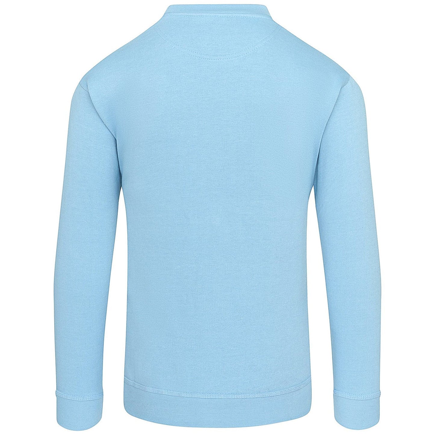 ORN Kite Sweatshirt, Unisex, Sky Blue, 4XL Easy2Order : ORN70723