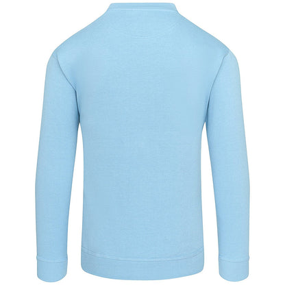 ORN Kite Sweatshirt, Unisex, Sky Blue, 4XL Easy2Order : ORN70723