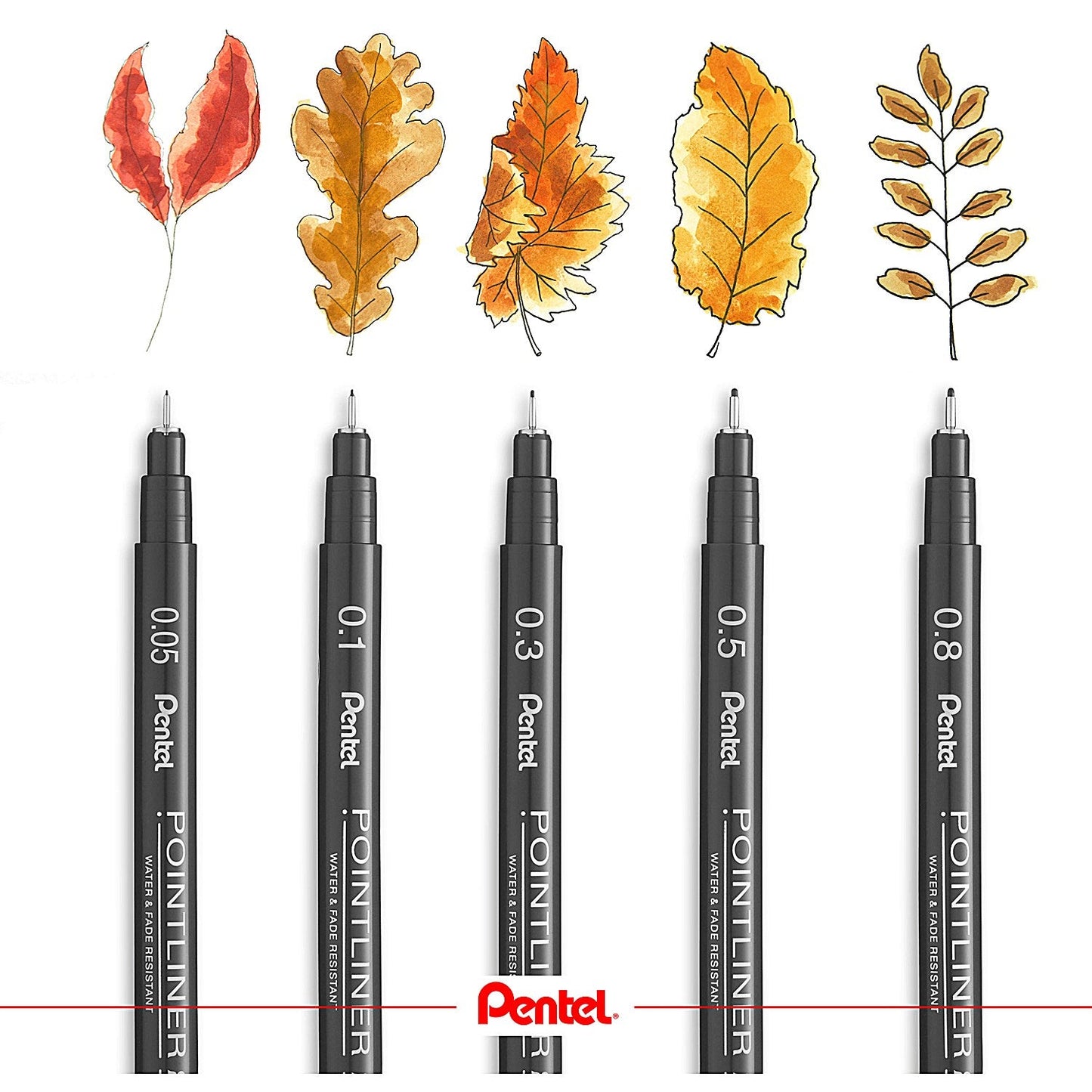 Pentel Pointliner Pigment Pen, Assorted Sizes, Black, Pack of 5