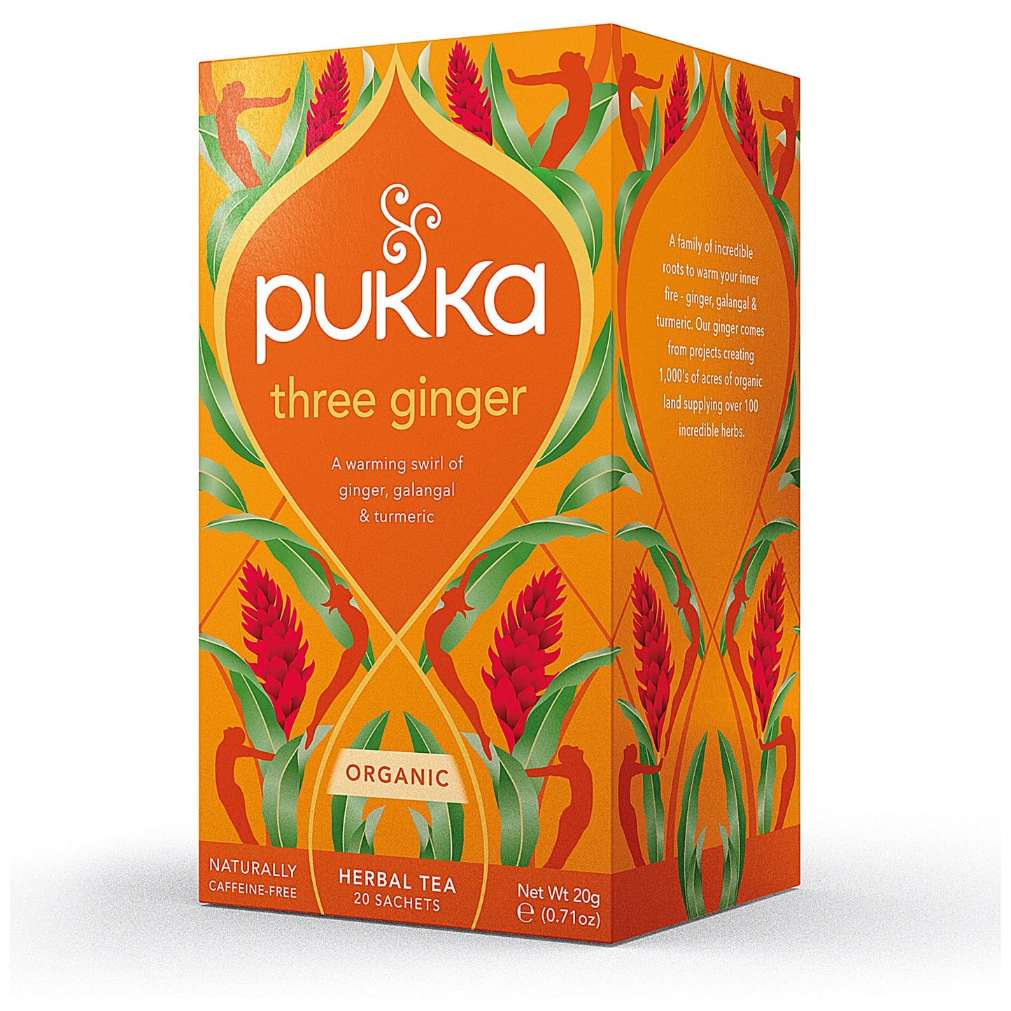 Pukka Three Ginger Organic Tea Bags, Pack of 20