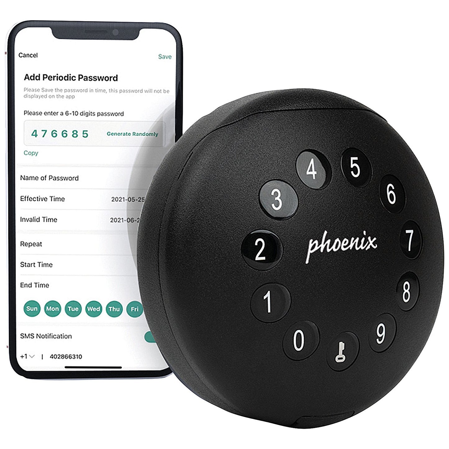 Phoenix Palm Smart Key Safe with Electronic Lock and Security Cable, Black