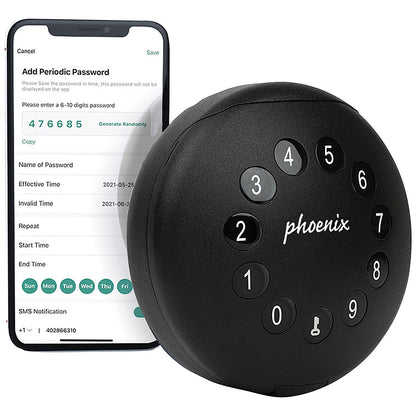 Phoenix Palm Smart Key Safe with Electronic Lock and Security Cable, Black