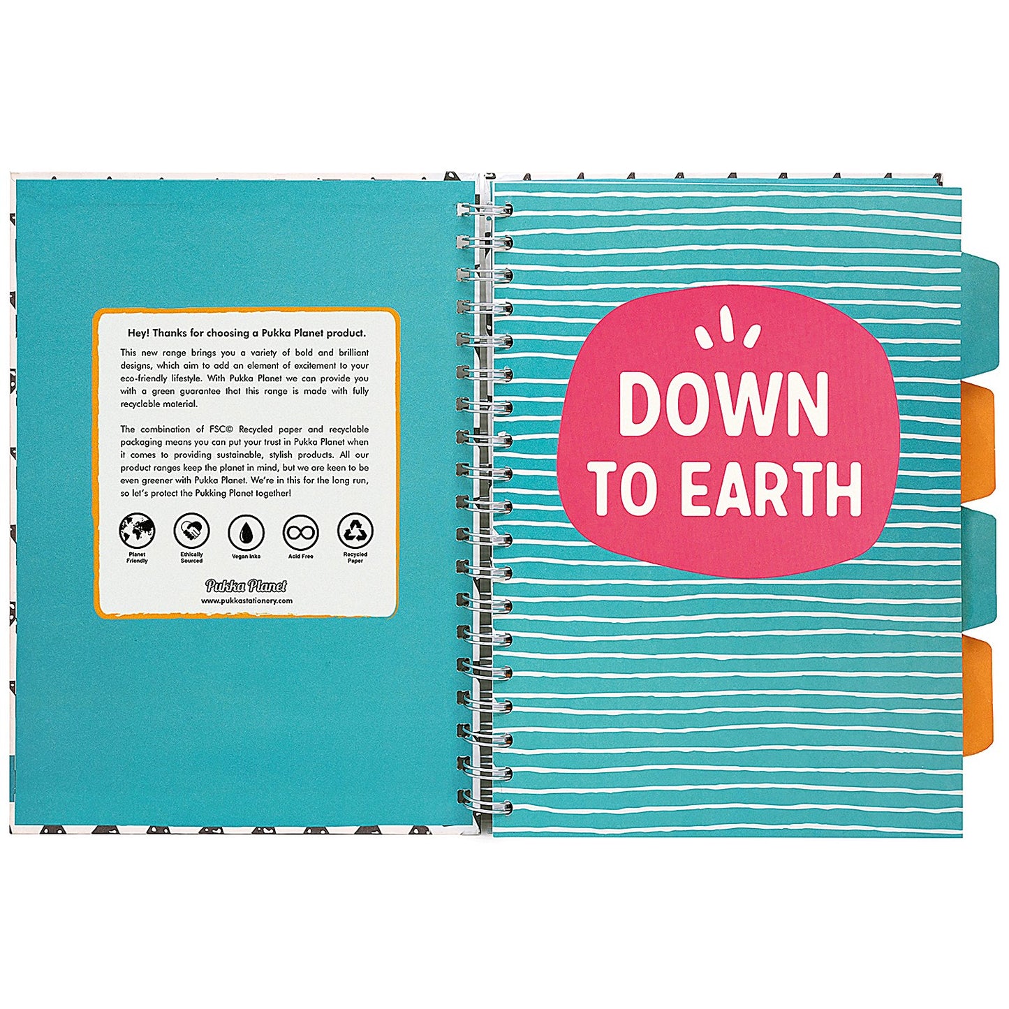 Pukka Planet Muted Project Book, B5, Assorted Design, Pack of 2