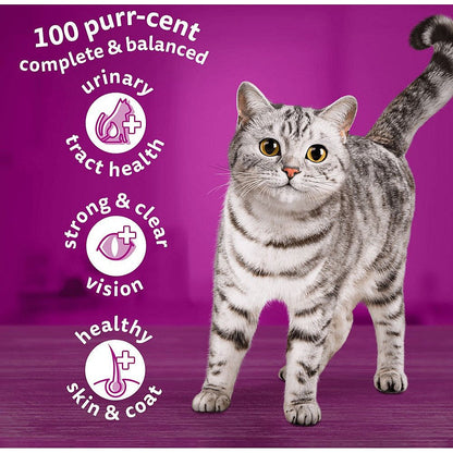 Whiskas 1+ Cat Complete Dry with Chicken, 800g, Pack of 5 Easy2Order : RTC30469