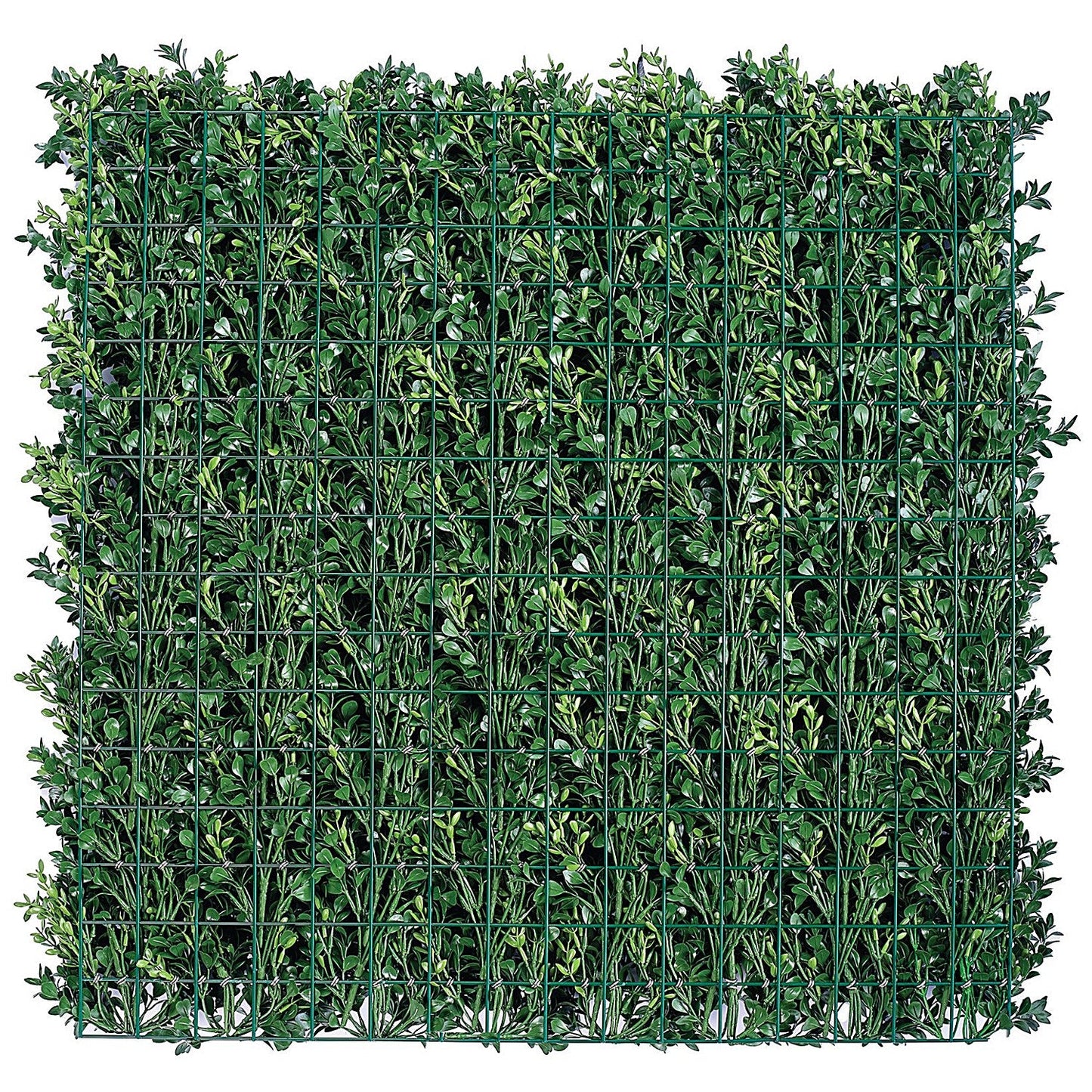 Vistafolia Luxury Boxwood Panel 800x800mm PAN-BXW