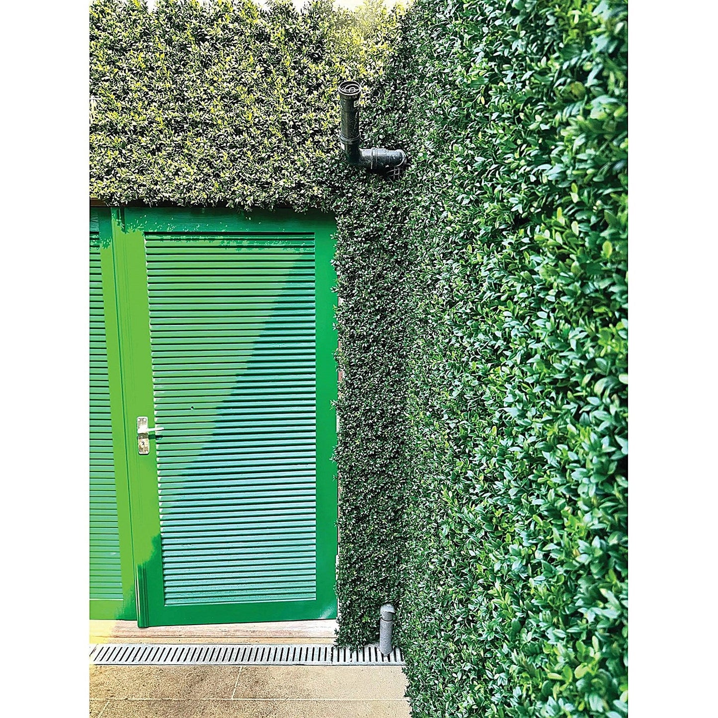 Vistafolia Luxury Boxwood Panel 800x800mm PAN-BXW