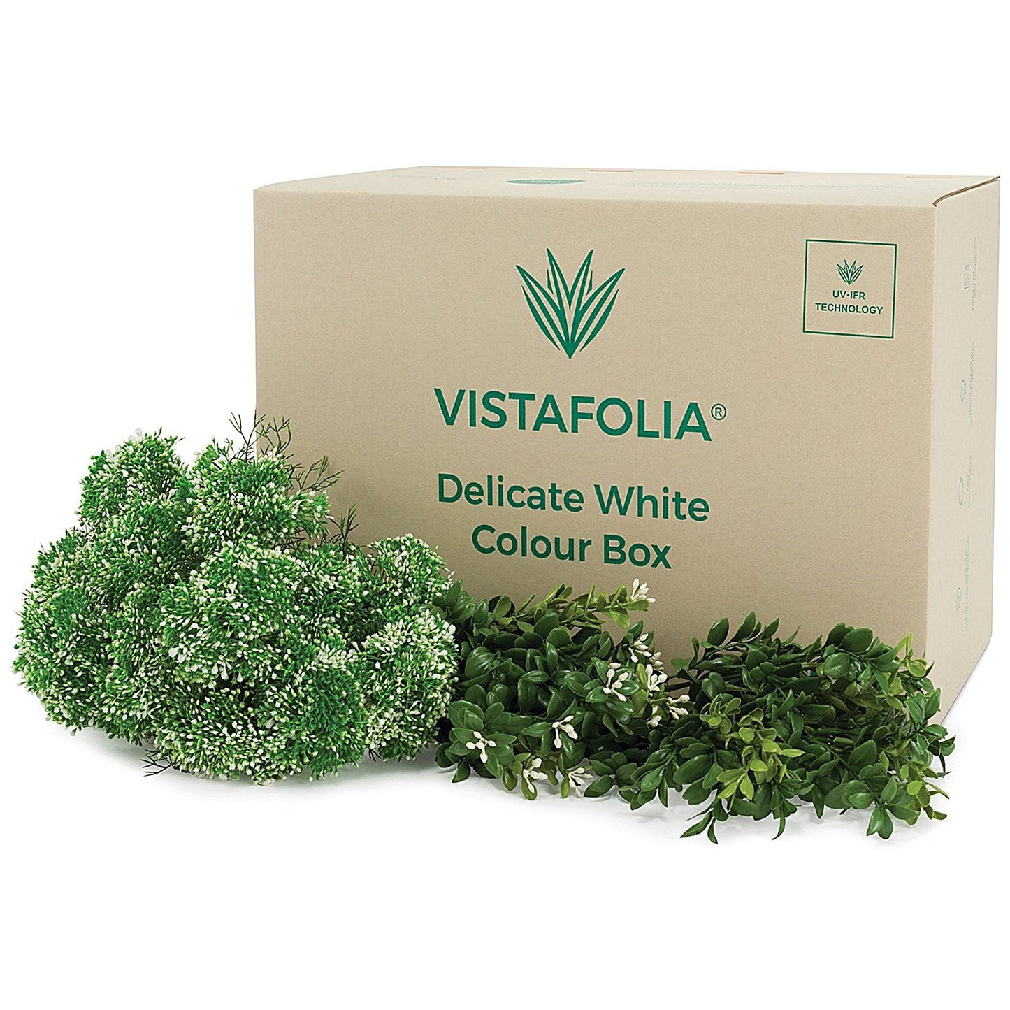 Vistafolia Delicate White Colour Box (Pack of 42) CBX-WHT