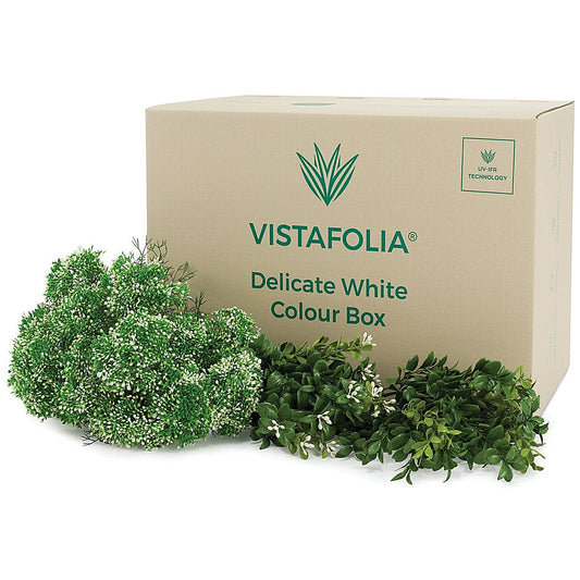 Vistafolia Delicate White Colour Box (Pack of 42) CBX-WHT