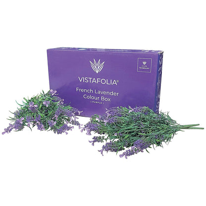 Vistafolia French Lavender Purple Colour (Pack of 10) CBX-LAV-PPL