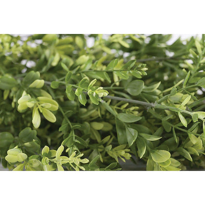 Vistafolia Extendable Buxus Trailing Foliage TPL-BUX