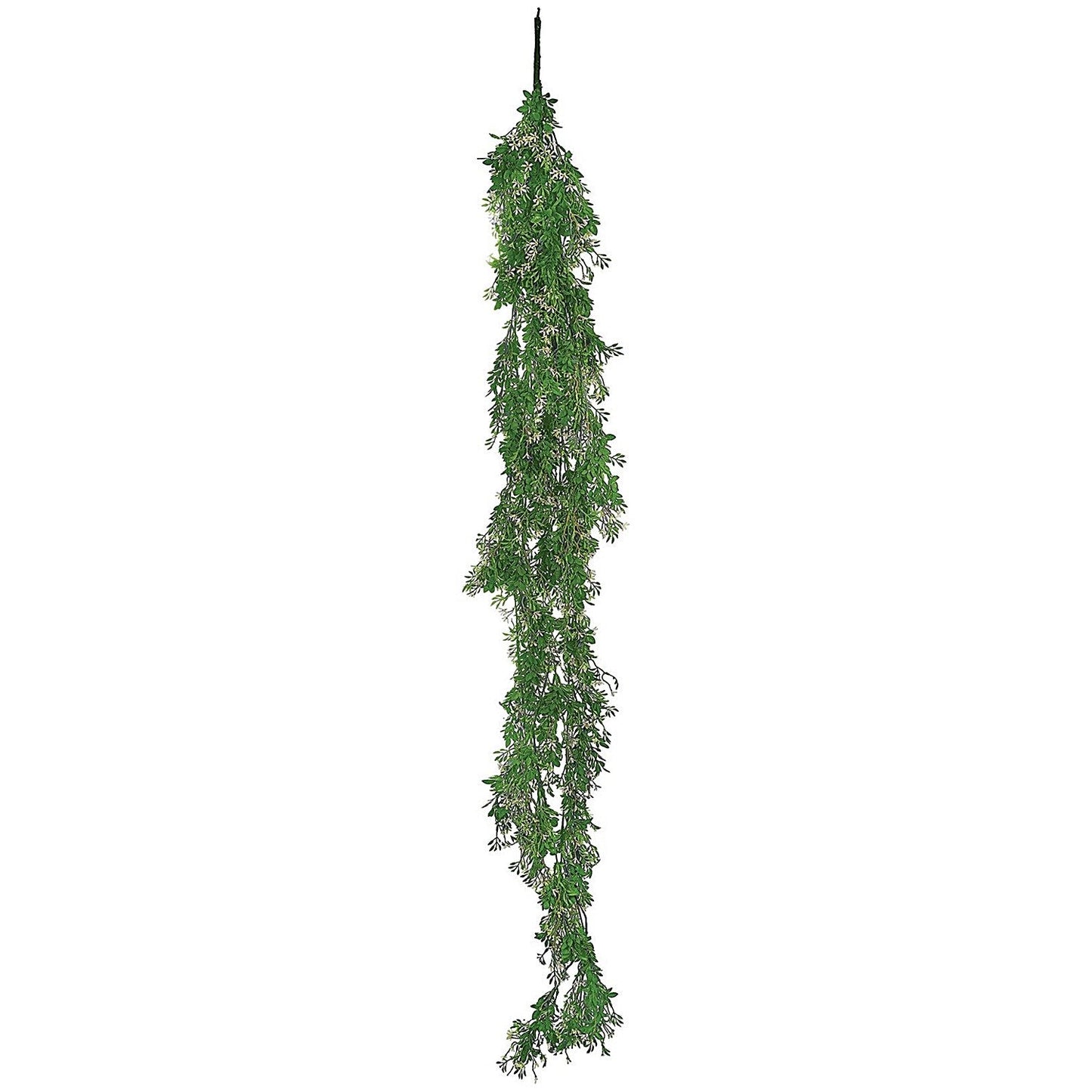 Vistafolia Extendable Buxus Trailing Foliage TPL-BUX