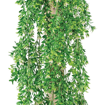 Vistafolia Extendable Buxus Trailing Foliage TPL-BUX Easy2Order : SF1000729