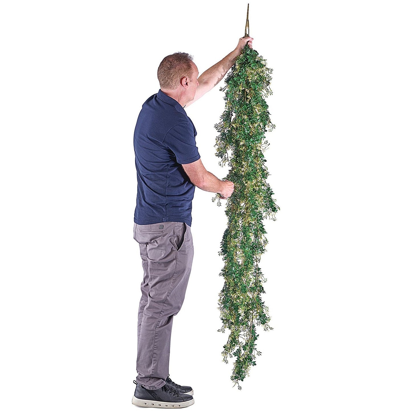 Vistafolia Extendable Jasmine Trailing Foliage TPL-JSM