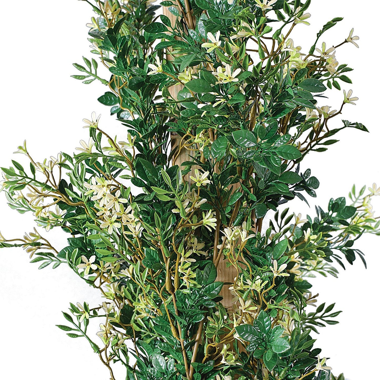Vistafolia Extendable Jasmine Trailing Foliage TPL-JSM