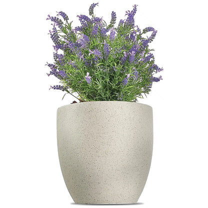 Vistafolia French Lavender Bush Purple FLB-PPL