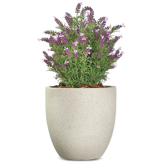 Vistafolia French Lavender Bush Pink FLB-PNK Easy2Order : SF1000734