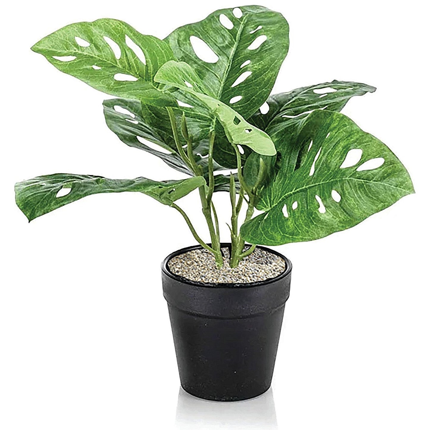 Tabletop Monstera Monkey Matte White Planter LLRMOM340/RDYWH