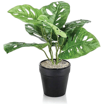 Tabletop Monstera Monkey Matte White Planter LLRMOM340/RDYWH