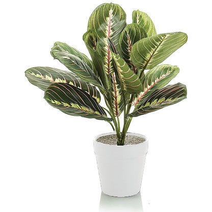 Tabletop Maranta Bush Matte White Planter LLRMAB340/RDYWH