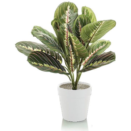 Tabletop Maranta Bush Matte Lava Planter LLRMAB340/RDYLV