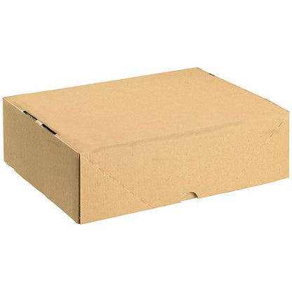 Carton With Lid, W305xD215xH100mm, Brown, Pack of 10