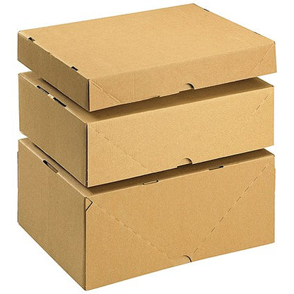 Carton With Lid, W305xD215xH100mm, Brown, Pack of 10