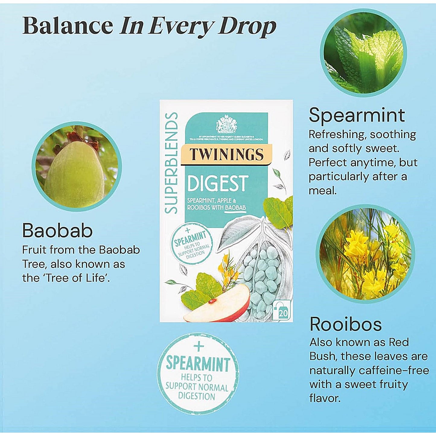 Twinings SuperBlends Digest Herbal Tea, Pack of 20