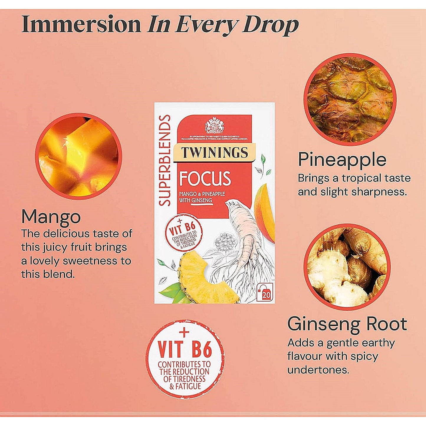 Twinings SuperBlends Focus Herbal Tea, Pack of 20