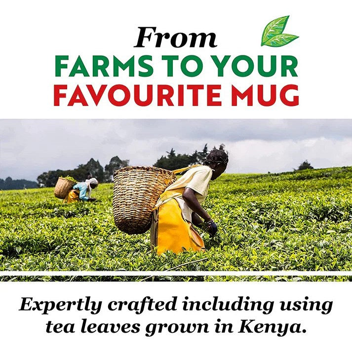 PG Tips One Cup Square Tea Bags, Pack of 450