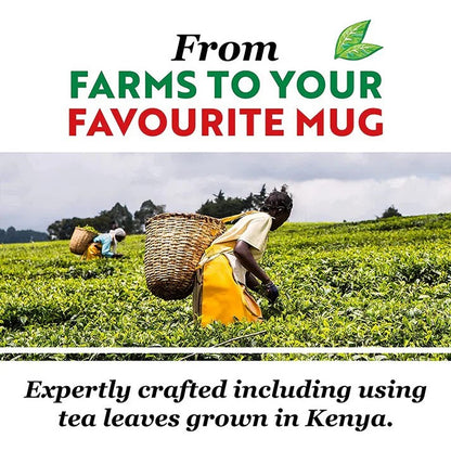 PG Tips One Cup Square Tea Bags, Pack of 450